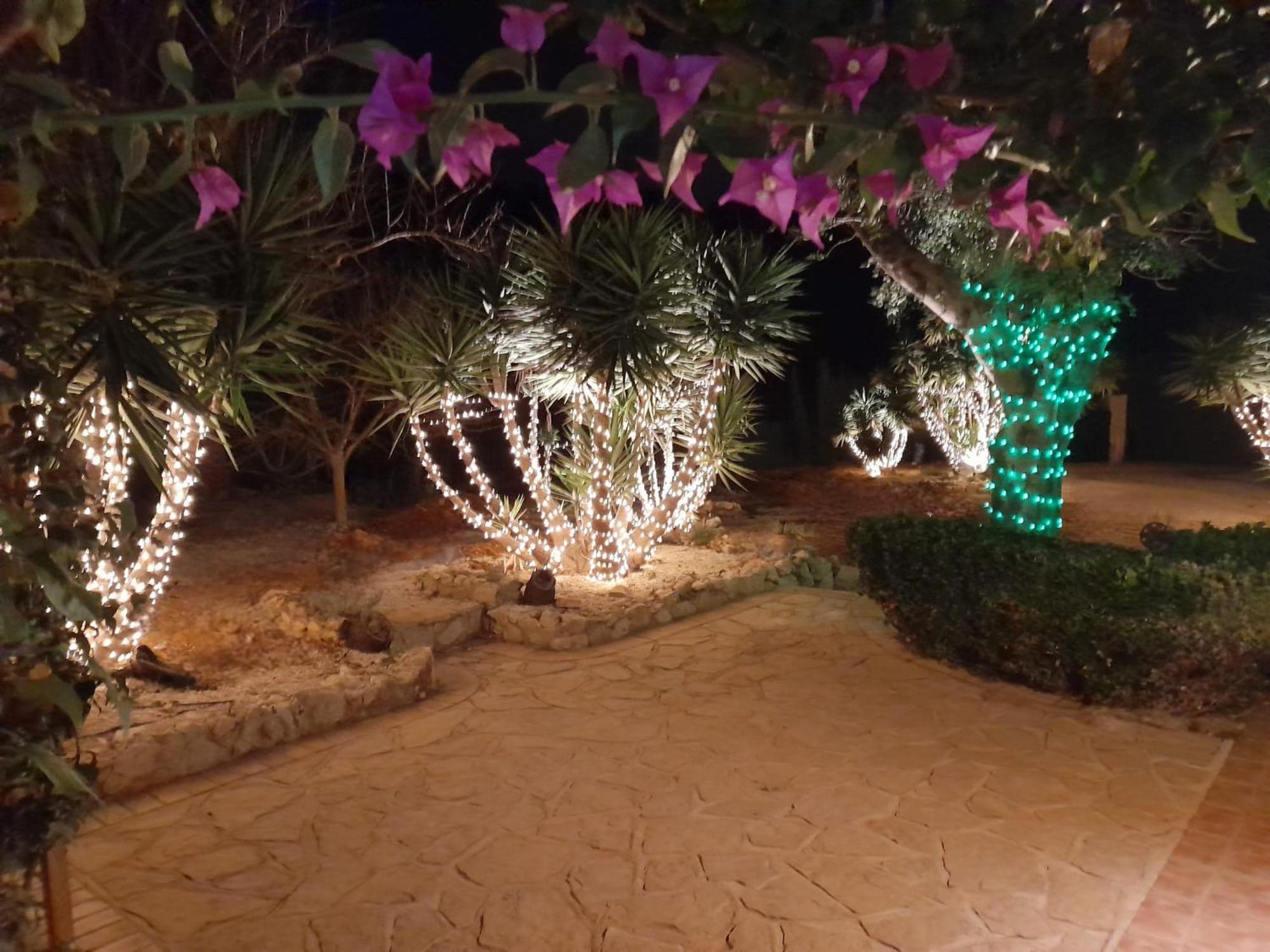Lliber Villa Lobos מראה חיצוני תמונה