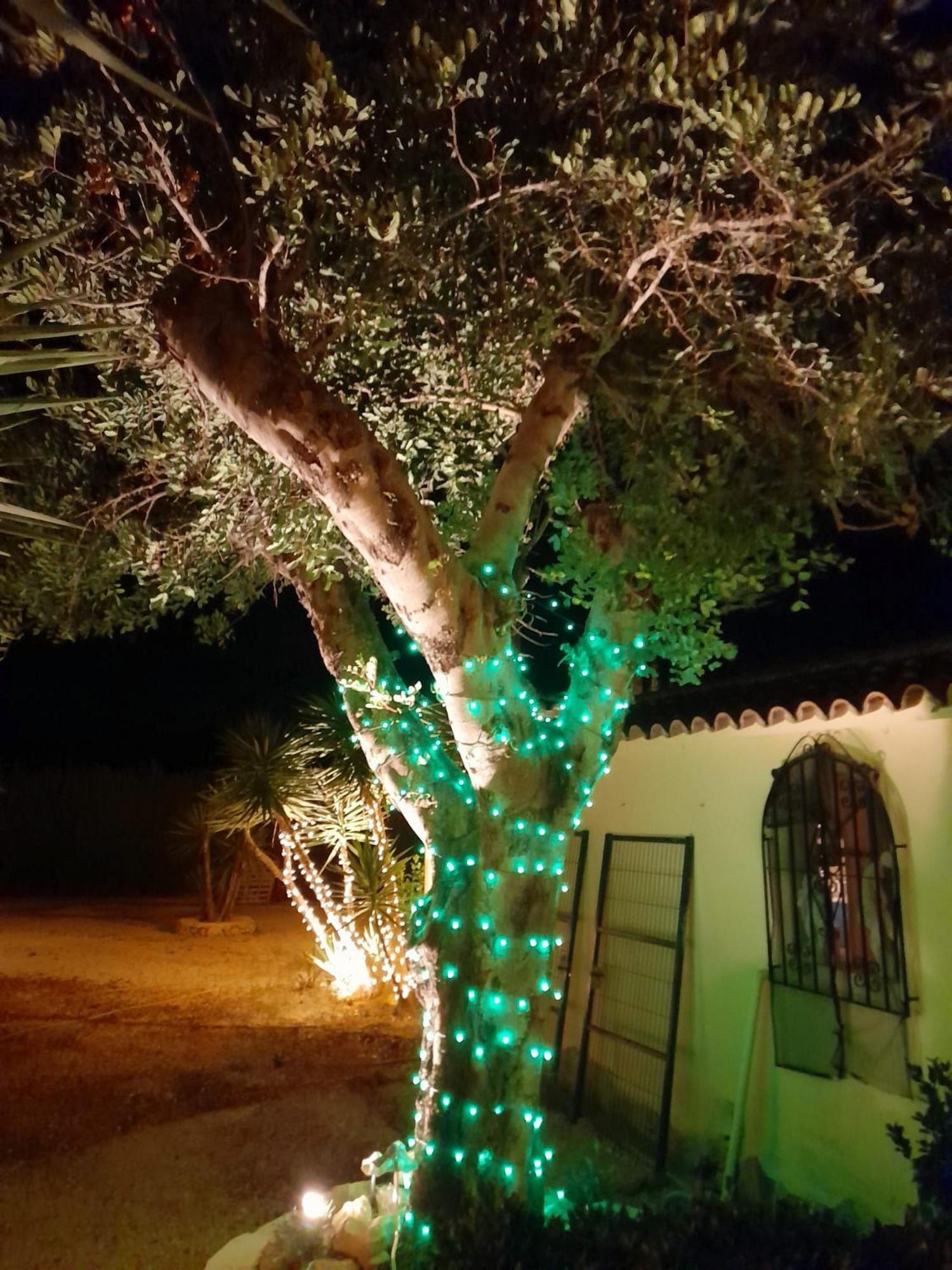 Lliber Villa Lobos מראה חיצוני תמונה
